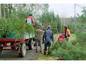 Es weihnachtet in St. Crescentius (Foto: Karl-Franz Thiede)